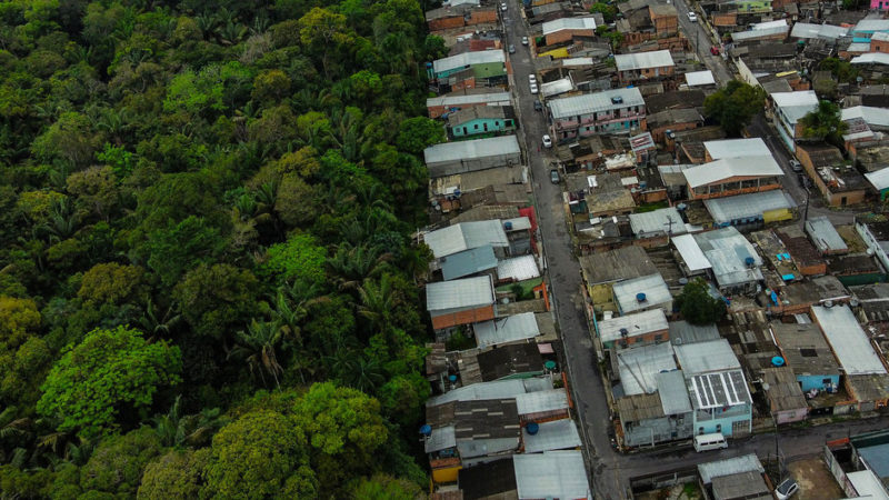 Un ambicioso plan intentará frenar la pérdida de la biodiversidad