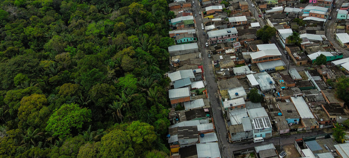 Un ambicioso plan intentará frenar la pérdida de la biodiversidad