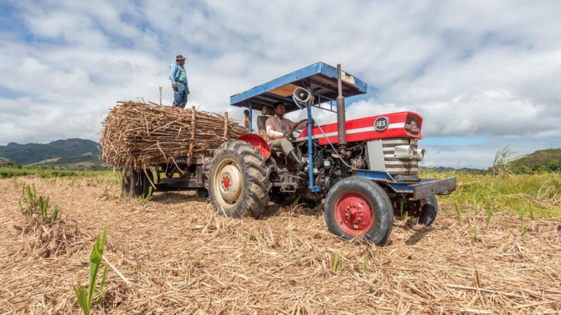 Estamos perdiendo el 40% de los alimentos que producimos.