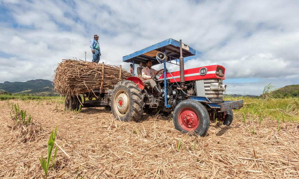 Estamos perdiendo el 40% de los alimentos que producimos.