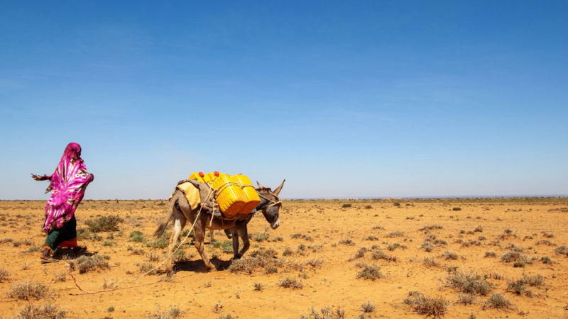 Cinco maneras en que el cambio climático amenaza a las mujeres y las niñas