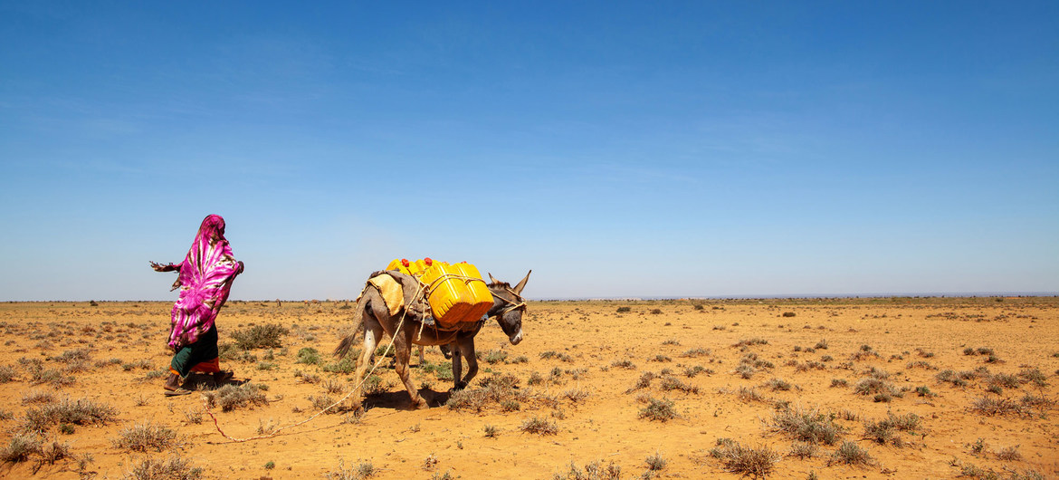 Cinco maneras en que el cambio climático amenaza a las mujeres y las niñas