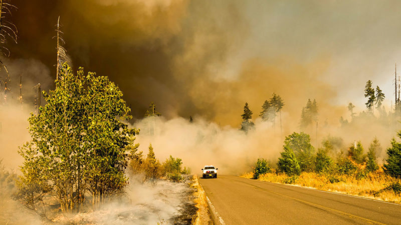 Cambio climático: El ser humano ha calentado el planeta a un nivel nunca visto