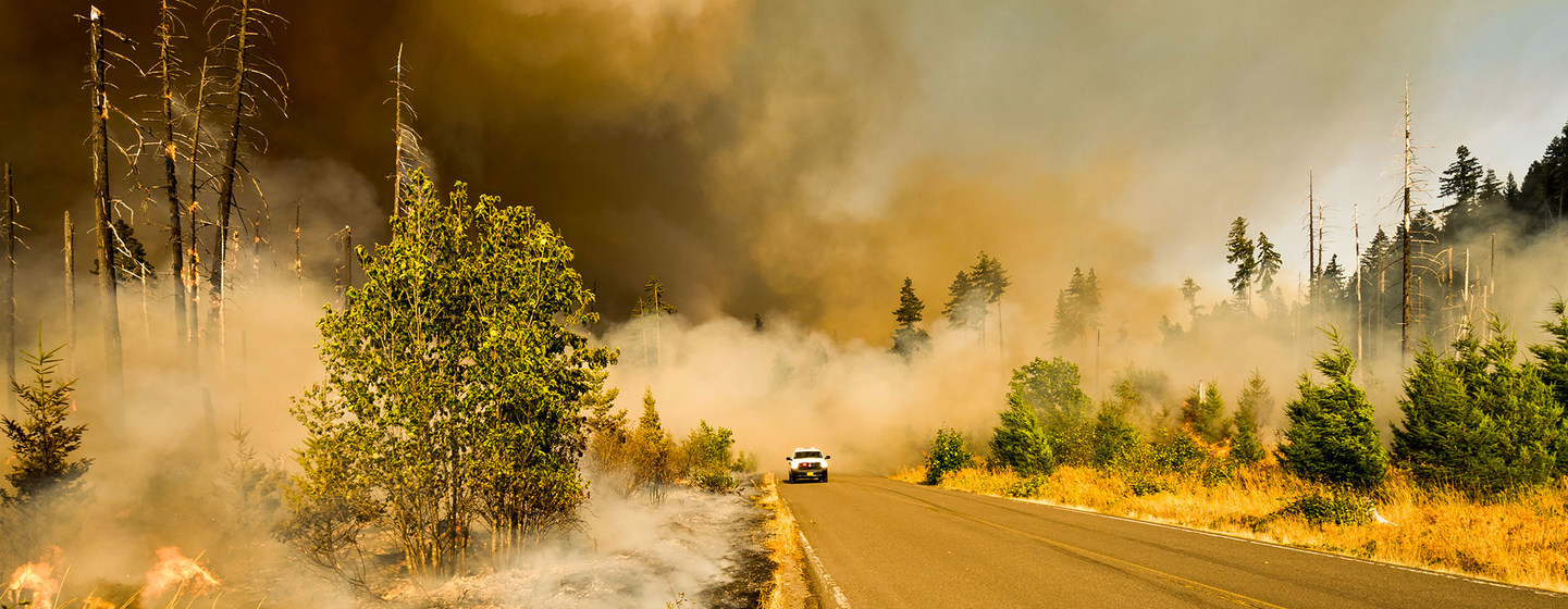 Cambio climático: El ser humano ha calentado el planeta a un nivel nunca visto