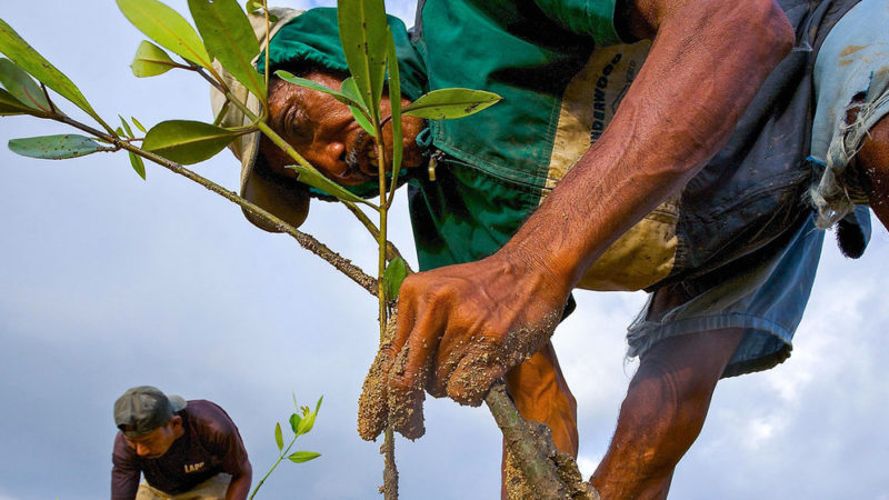 Mitigar el cambio climático cuesta mucho dinero, ¿quién y cómo ha de pagarse?