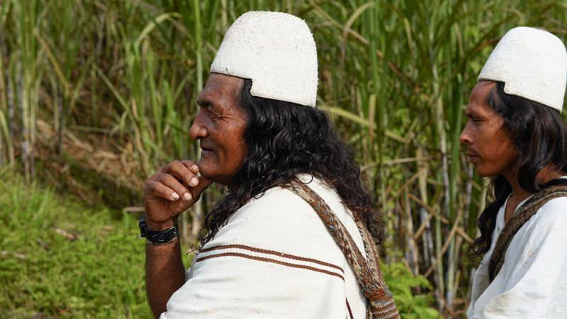 La panela, una dulce apuesta para que los indígenas sigan viviendo en la Sierra de Colombia