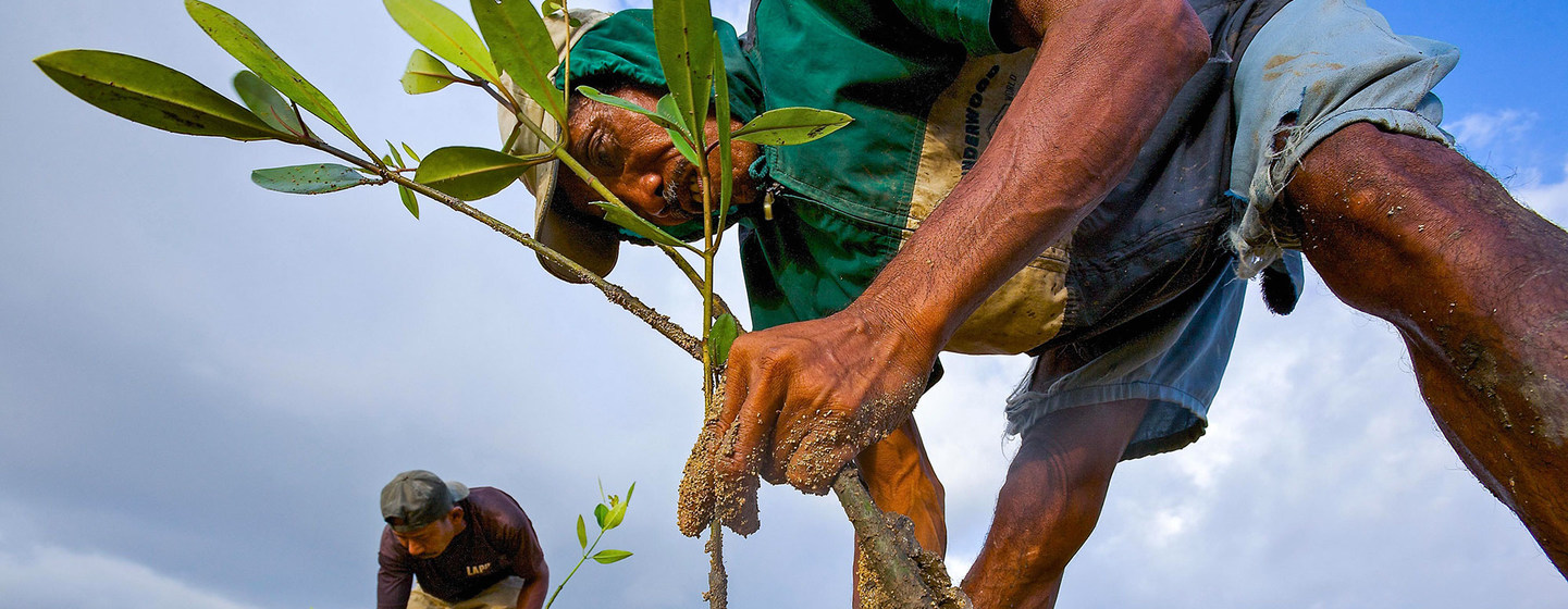 Mitigar el cambio climático cuesta mucho dinero, ¿quién y cómo ha de pagarse?