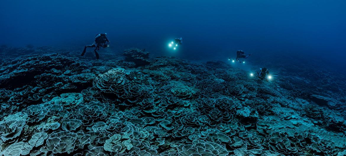 De aquí al 2030, se cartografiará el 80% de los fondos marinos