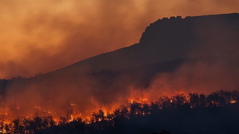 Los incendios forestales aumentarán un 30% para 2050 y un 50% para fin de siglo debido a la crisis climática