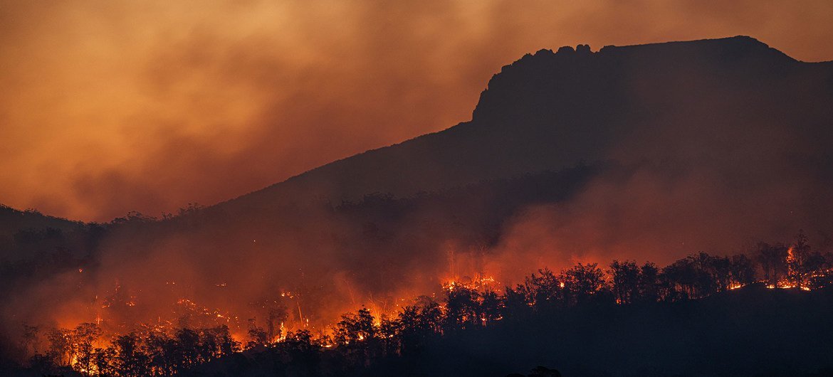 Los incendios forestales aumentarán un 30% para 2050 y un 50% para fin de siglo debido a la crisis climática