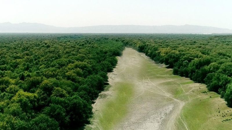 Pese al combate contra la deforestación, cada año se destruyen diez millones de hectáreas de bosque