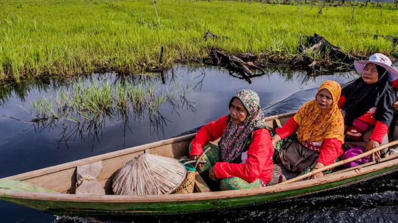 Los humedales, los grandes olvidados en la crisis del cambio climático