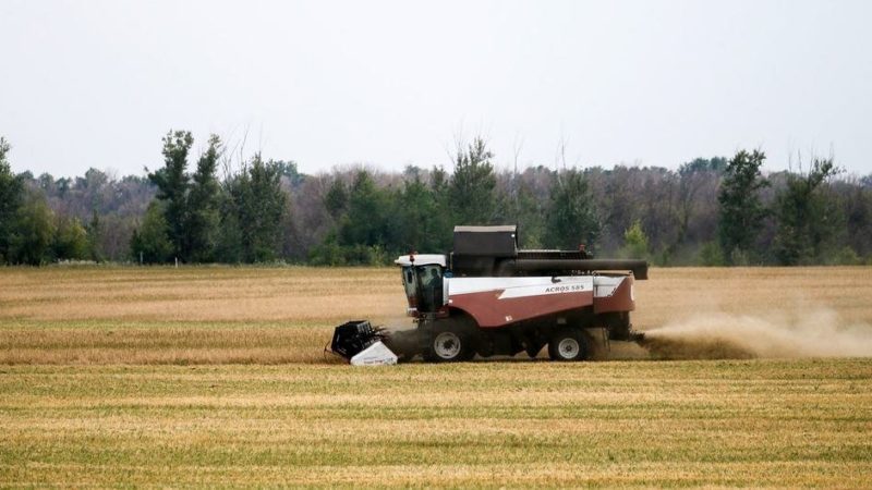 La guerra en Ucrania disminuirá el crecimiento económico global y podría generar una recesión en los países en desarrollo