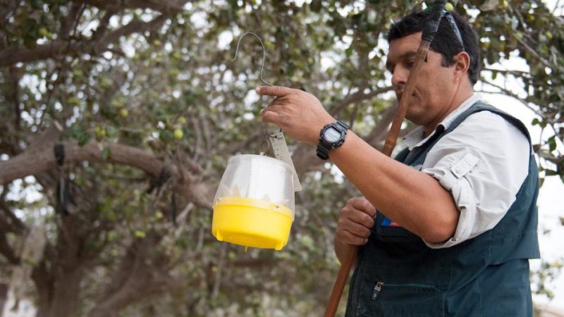 La cumbre fitnosaitaria impulsa la seguridad alimentaria y garantiza la salud humana