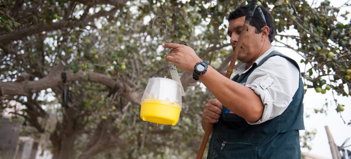 La cumbre fitnosaitaria impulsa la seguridad alimentaria y garantiza la salud humana