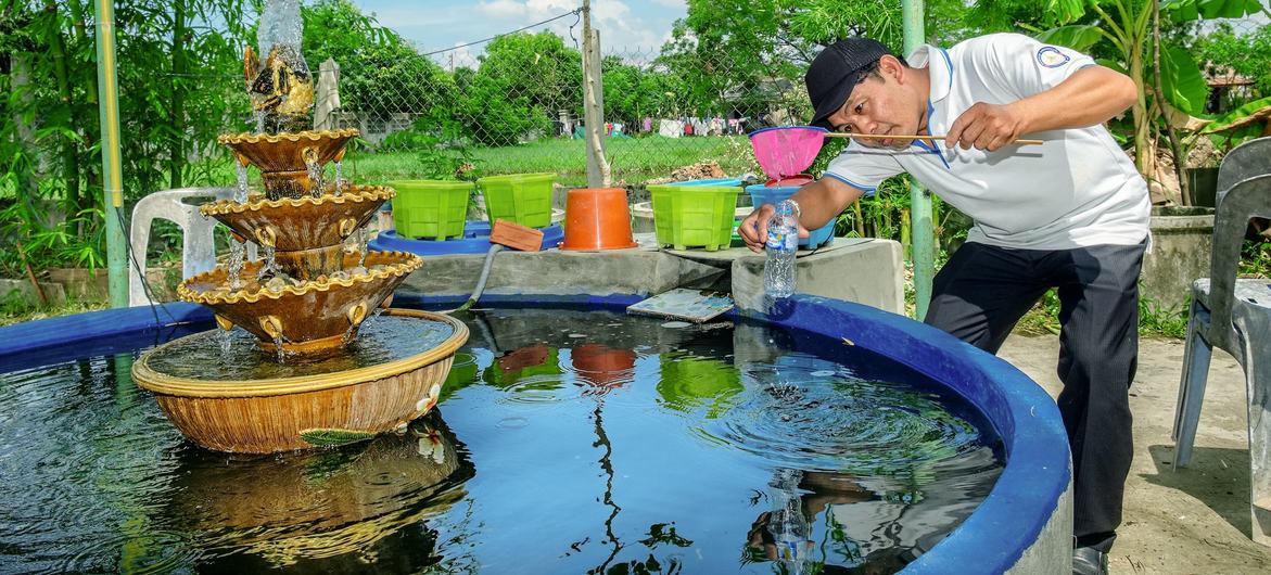 Día Mundial de la Salud: Actuemos por el clima y cuidemos de los demás