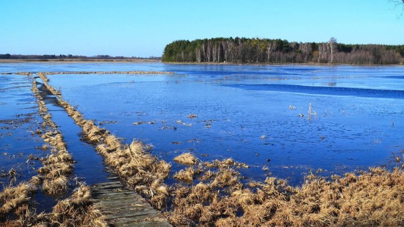 La naturaleza, el aliado más efectivo contra el cambio climático