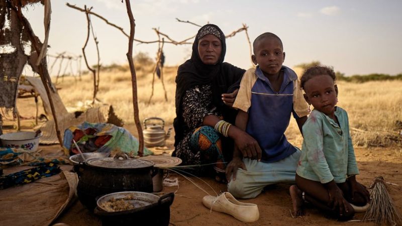 Alerta roja en el Sahel: 18 millones de personas pueden sufrir un hambre extrema