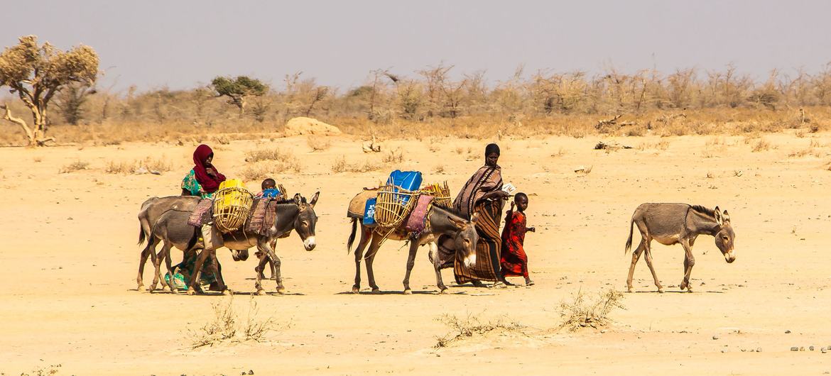 Millones de personas en alto riesgo de morir de hambre por la sequía en el Cuerno de África