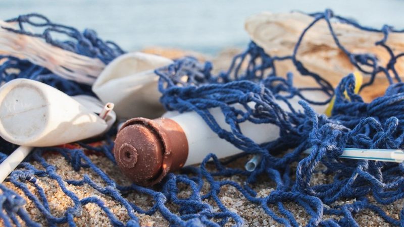 Ocho países de América Latina combatirán juntos la basura marina y la contaminación por plásticos