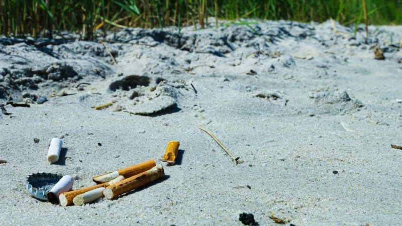 La industria del tabaco también daña el medio ambiente