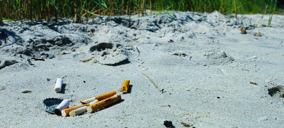 La industria del tabaco también daña el medio ambiente