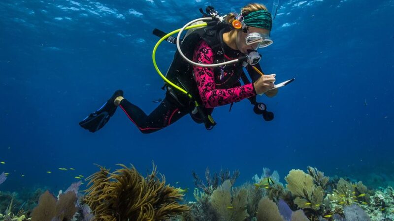 Ciencia para salvar los océanos