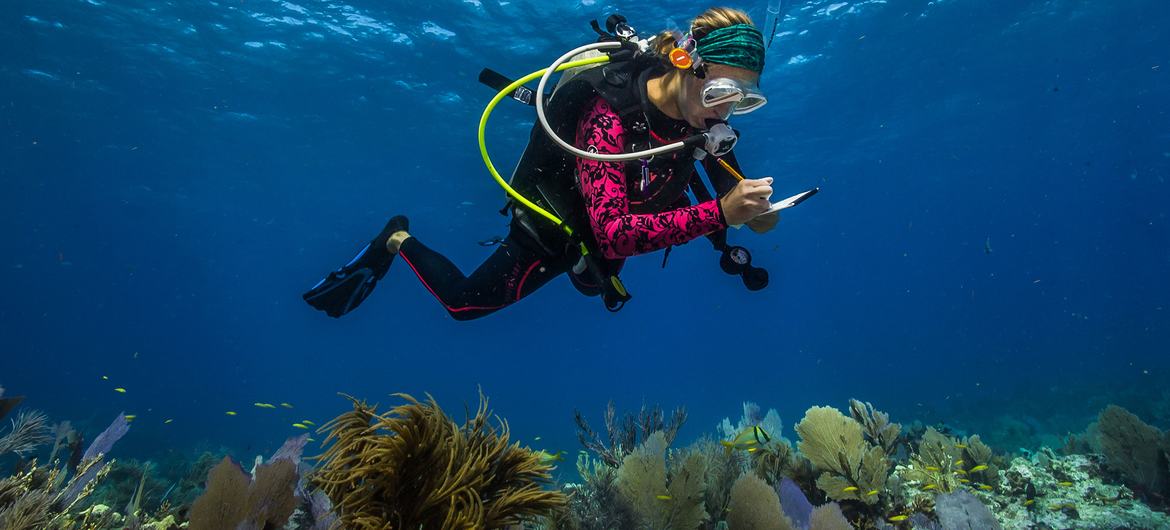 Ciencia para salvar los océanos