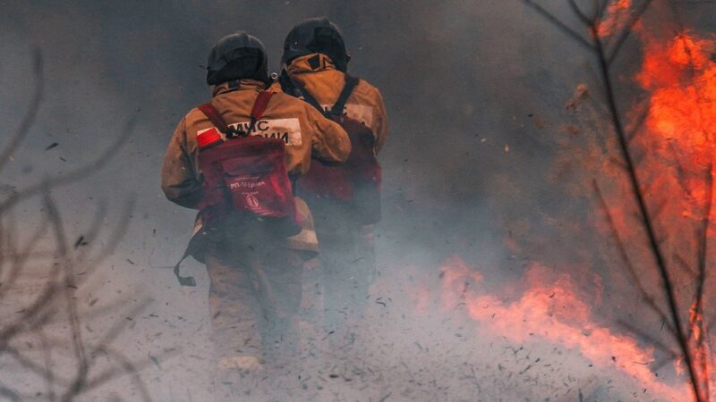 Cambio climático: tenemos que adaptar nuestros bosques frente a los incendios forestales