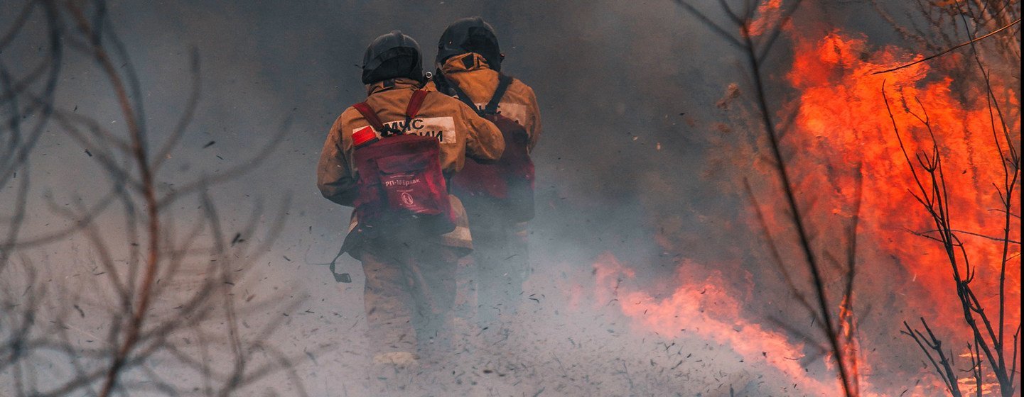 Cambio climático: tenemos que adaptar nuestros bosques frente a los incendios forestales