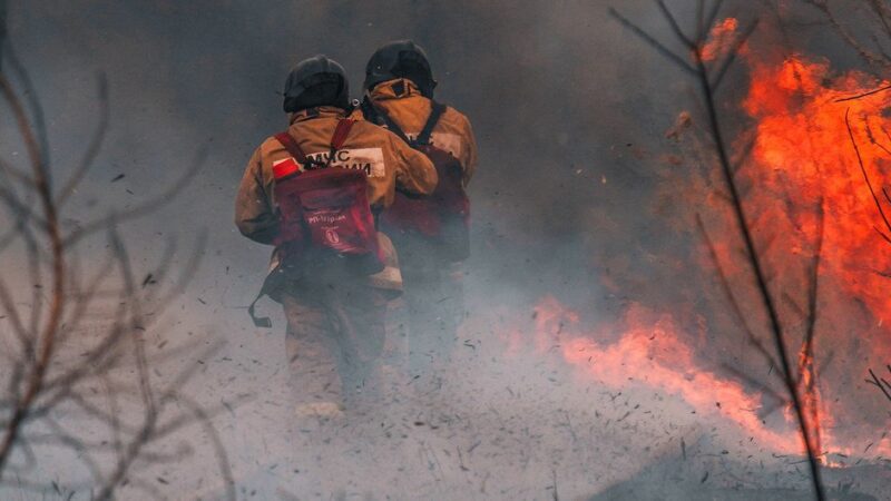 Los incendios forestales empeoran la calidad del aire y dañan la salud de las personas y los ecosistemas