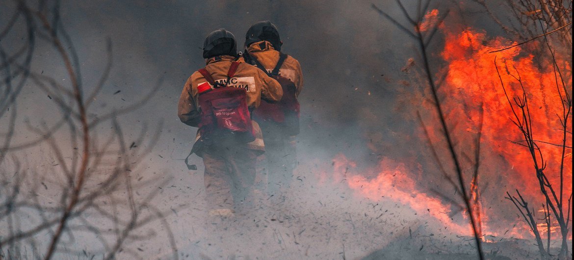 Los incendios forestales empeoran la calidad del aire y dañan la salud de las personas y los ecosistemas