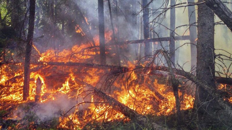 Sin medidas más ambiciosas, las consecuencias del cambio climático “serán devastadoras”