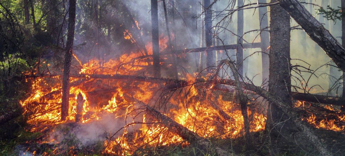 Sin medidas más ambiciosas, las consecuencias del cambio climático “serán devastadoras”