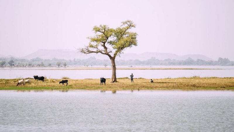 Estado del clima en África: la salud ambiental del continente en alerta roja