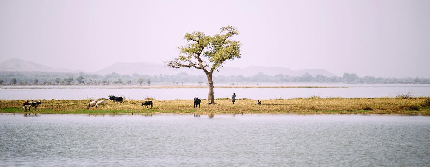 Estado del clima en África: la salud ambiental del continente en alerta roja