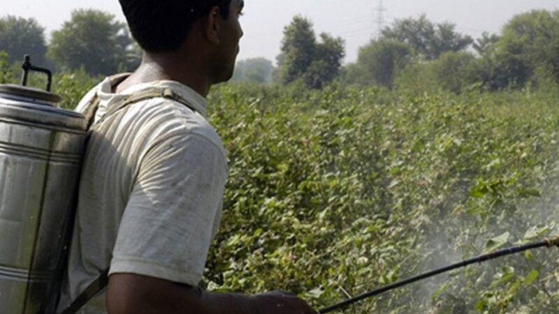 Paraguay no cumple con las leyes de control de pesticidas, denuncia experto