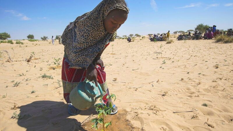 Buena parte del planeta sufrió sequías más allá de lo normal en 2021