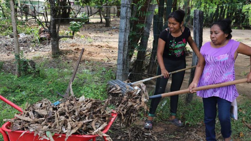 Hay que detener la pérdida de suelos negros, la base alimentaria de muchos países