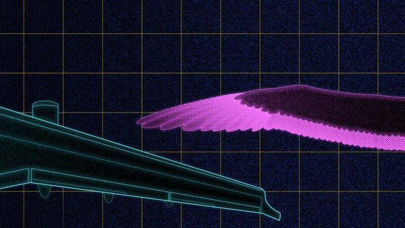 La degradación de la biodiversidad provoca la pérdida definitiva de los recursos naturales