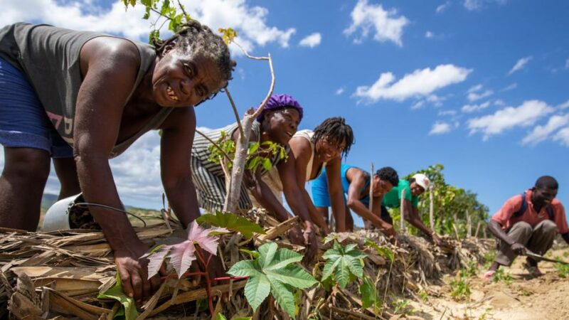 Bienestar social, una prioridad para la ONU en América Latina y el Caribe