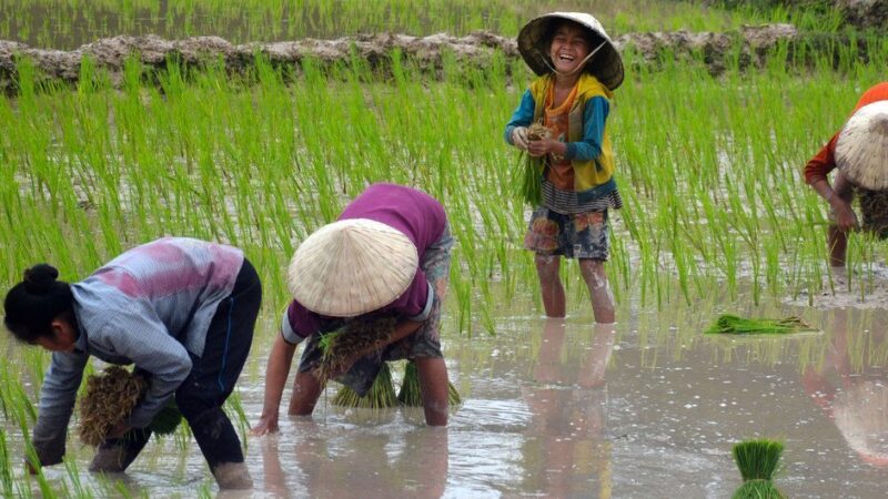 Hay que recuperar los humedales, el hogar del 40% de toda la biodiversidad