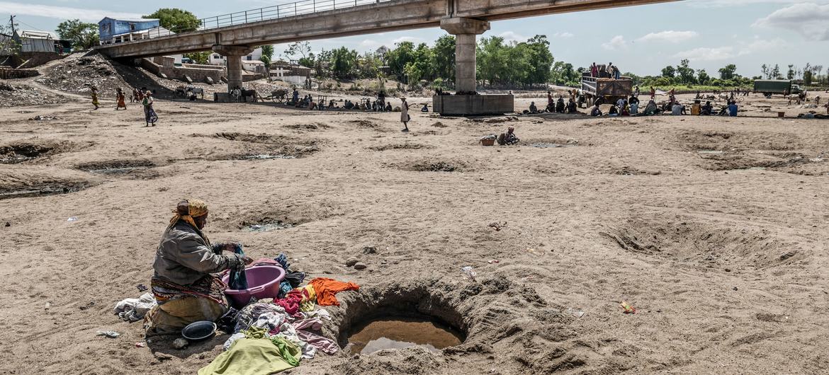 La Fundación Greta Thunberg dona cerca de 270.000 dólares para ayudar a los desplazados por el cambio climático