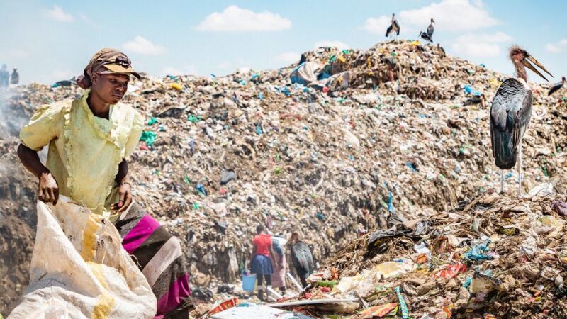 Día Internacional de Cero Desechos: La ONU aboga por el cambio hacia una economía circular