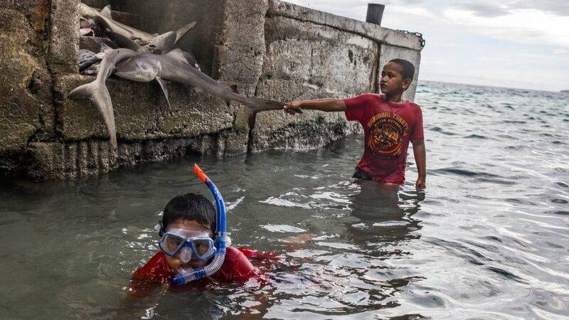 La Corte Internacional de Justicia opinará sobre las obligaciones de los Estados con respecto al cambio climático