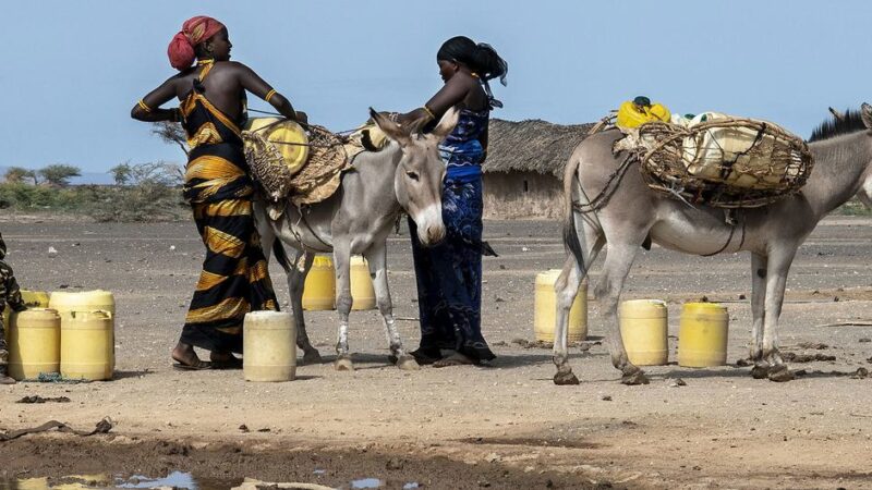 Las mujeres sufren de forma desproporcionada los estragos de la sequía y la desertificación