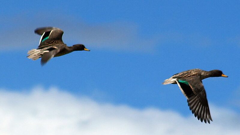 La UNESCO designa once nuevas reservas de la biosfera, dos de ellas en América Latina