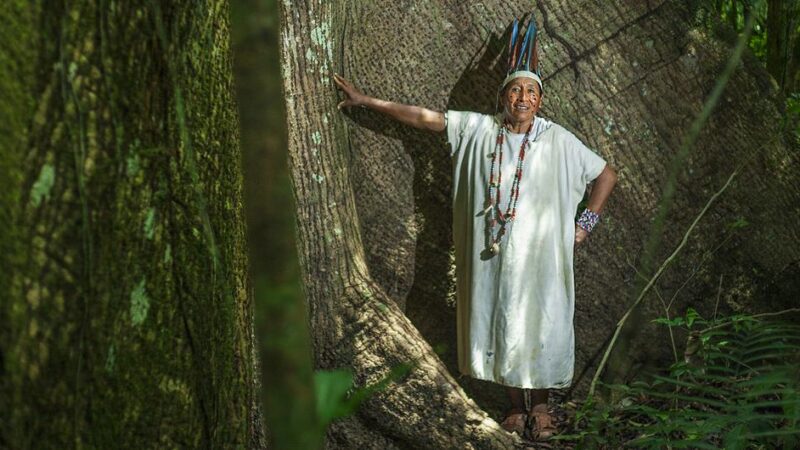 Los gobiernos latinoamericanos deben proteger a los defensores de los derechos humanos y el medio ambiente