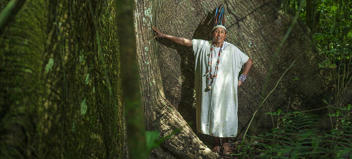 Los gobiernos latinoamericanos deben proteger a los defensores de los derechos humanos y el medio ambiente