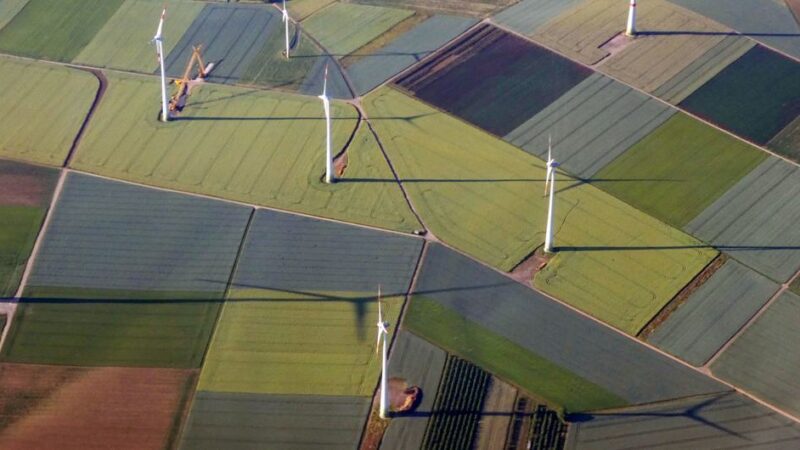 Sin energías renovables no puede haber futuro: 5 formas de impulsarlas